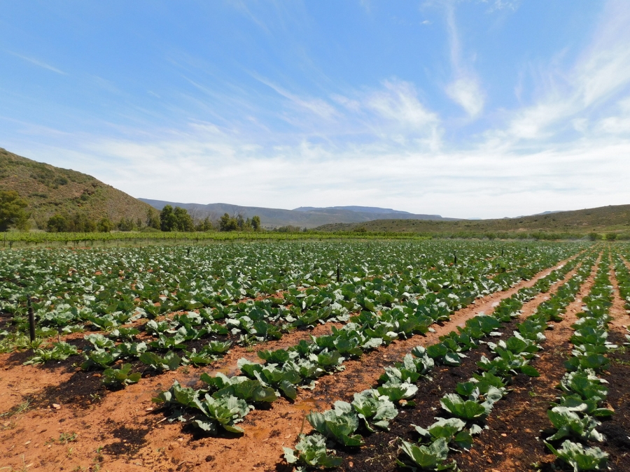 Commercial Property for Sale in Robertson Rural Western Cape